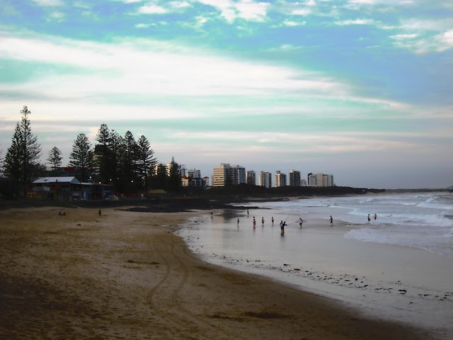 Alex Surf Club