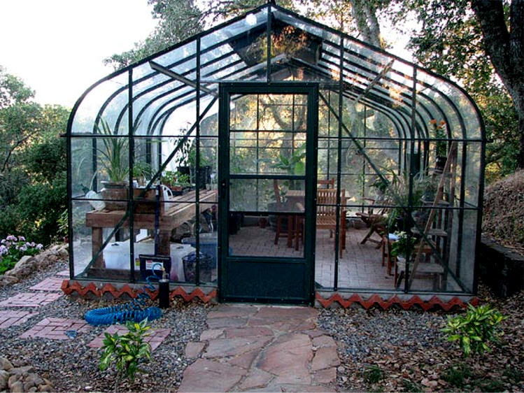Pacific Glass Greenhouses for Backyard Gothic Arch Greenhouses Pacific Glass Greenhouses for Backyard Gothic Arch Greenhouses