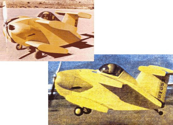 Starr Bumble Bee II