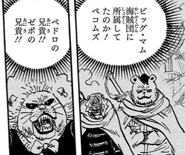 Onepiece 875 女の仁義 我思う故に 新館我思う故に 新館