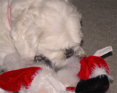 Nom-Nom-Stuffie