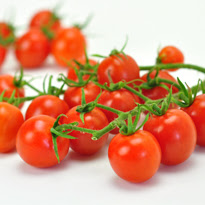 ミニトマトの育て方