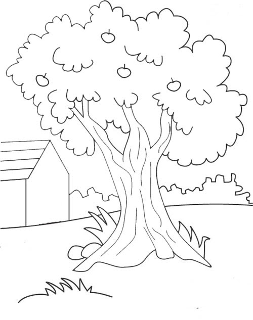 Car Coloring Picture Gambar Belajar Mewarnai Mobil 10 Car Coloring Picture Gambar Belajar Mewarnai Mobil 10