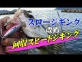 [最も共有された！ √] ジグ 20g 釣れる魚 118341-ジグ 20g 釣れる魚