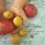 Small Potatoes