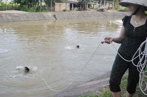 Cách Dạy Trẻ Học Bơi Độc Đáo Tại Nghệ An