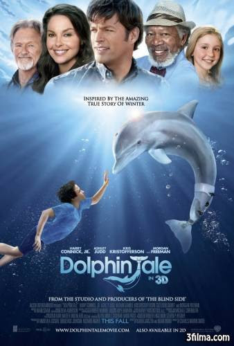 Взаимопомощь и природное обаяние(История Дельфина)