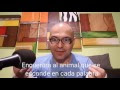 Que Animal Se Forma Con La Palabra Trapean