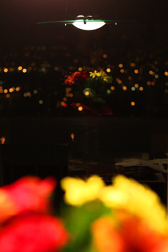 2009-01-07 - Flower Reflection