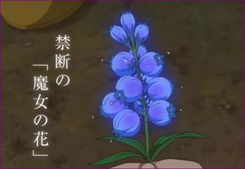 メアリと魔女の花の夜間飛行のモデルとなった花は 赤毛の意味についても Lovelionlife