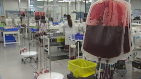 Blood bags