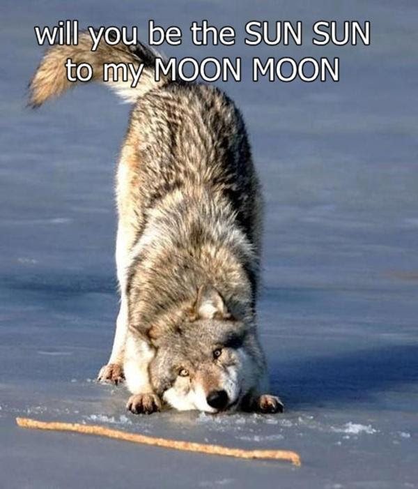 Image - 534602 | Moon Moon | Know Your Meme