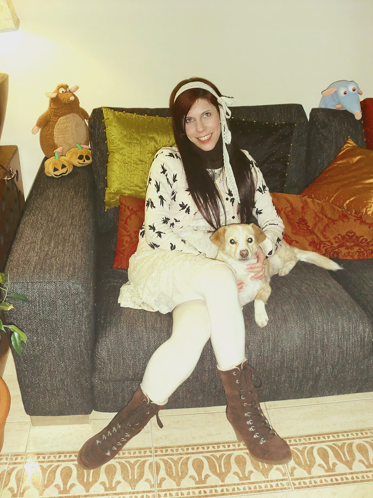 Otome Kei: Vero Moda dress & H&M Birds cardigan with Chucho