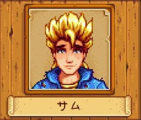 Stardew Valley Switch版 結婚相手レビュー たんぶらぁの隠れ家 裏 部屋