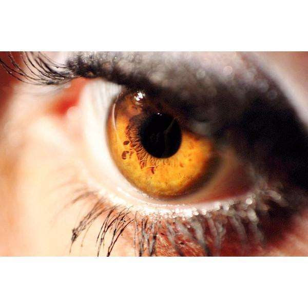 Buy Amber Eye Color Changing Drops | Change My Eye ...