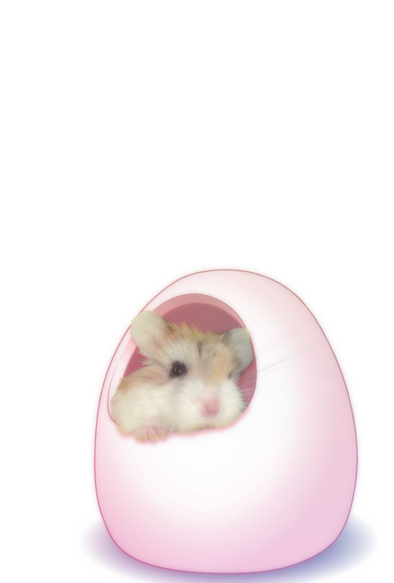 動物画像のすべて トップ100ハムスター イラスト フリー 年賀状