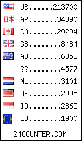 visitors by country counter