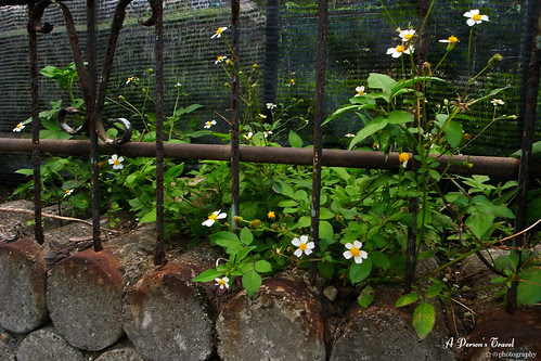 R0014010