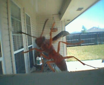 A Picture Share!