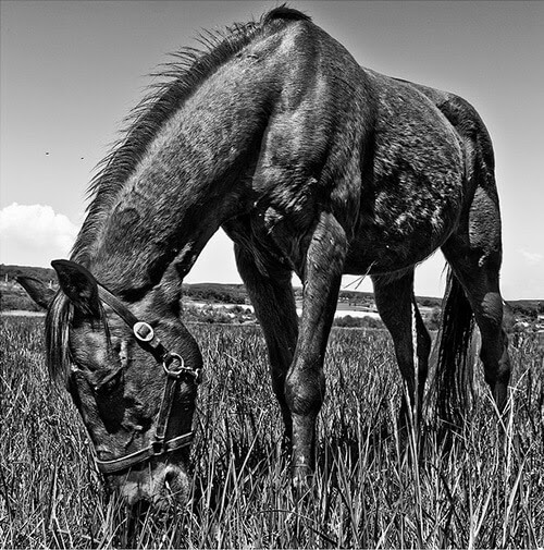 Power Photography