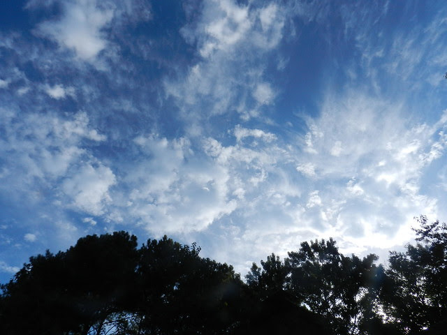 skywfDSCN6266