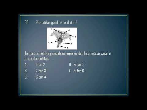Try Out Soal Biologi Unbk 2017