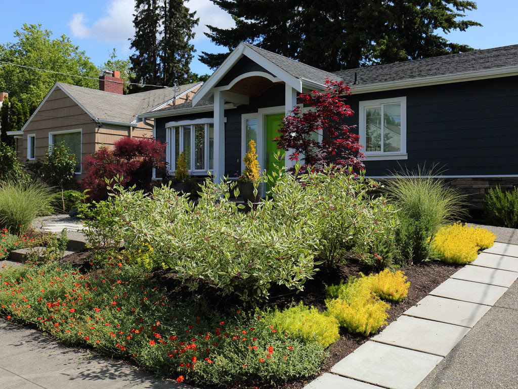 Garden Creation: No-Lawn Front Yard | DrawnToGarden