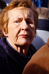 DP 13
