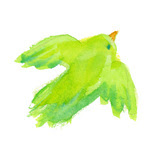飛んでいる鳥 Sui Sai 水彩画イラストフリー素材集