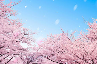 4月の特集 桜セレクション