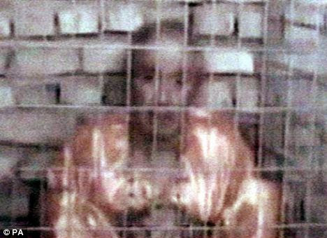 Murdered: British hostage Kenneth Bigley on a video tape in which he made a plea to Prime Minister Tony Blair to work for his release from captivity by Iraqi militants