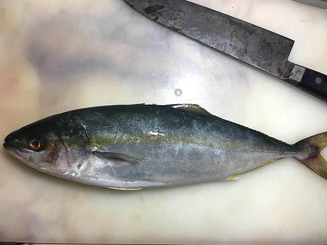スーパーで売ってる超安いブリの若魚 イナダ の刺身を食べよう I Live Freely