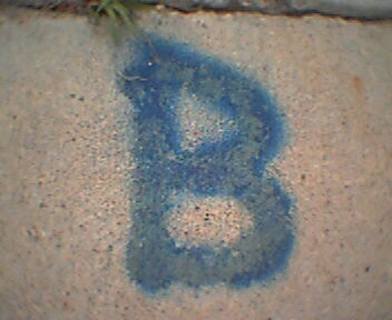 A Picture Share!