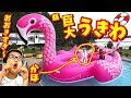 [10000ダウンロード済み√] 海外 面白い 浮き 輪 441012