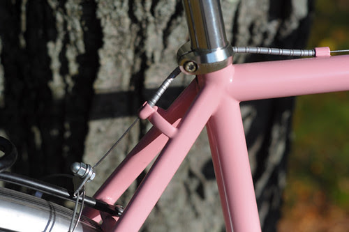 Susan's Pink Sketchy