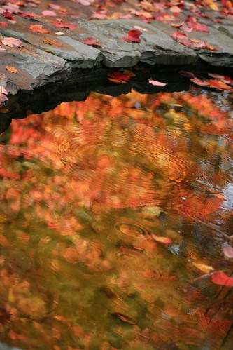 Threave Gardens