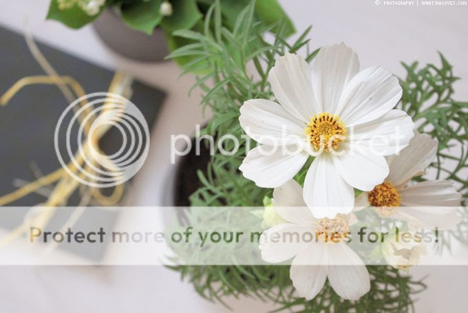 http://i402.photobucket.com/albums/pp103/Sushiina/cityglam/final3_zps80e765dc.jpg