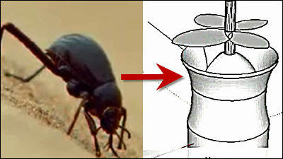 A Device That Can Collect Moisture From The Air Just By Placing Hints From Desert Insects Gigazine