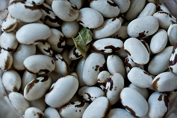 planting_beans