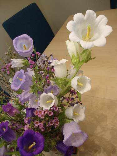 Princeton Farmers Market Flowers