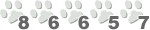 Web Site Statistics