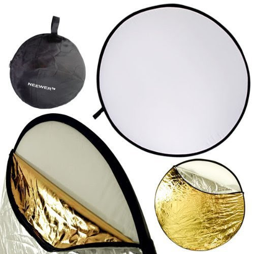Disc Neewer Multi Reflector Light