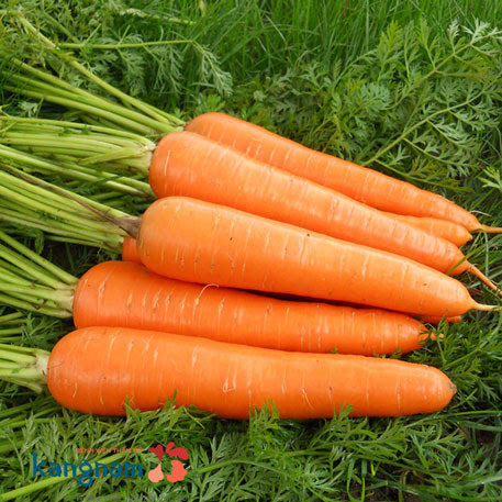 ăn gì để mắt đẹp tự nhiên 25