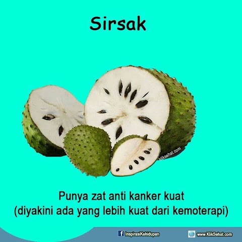 khasiat durian belanda