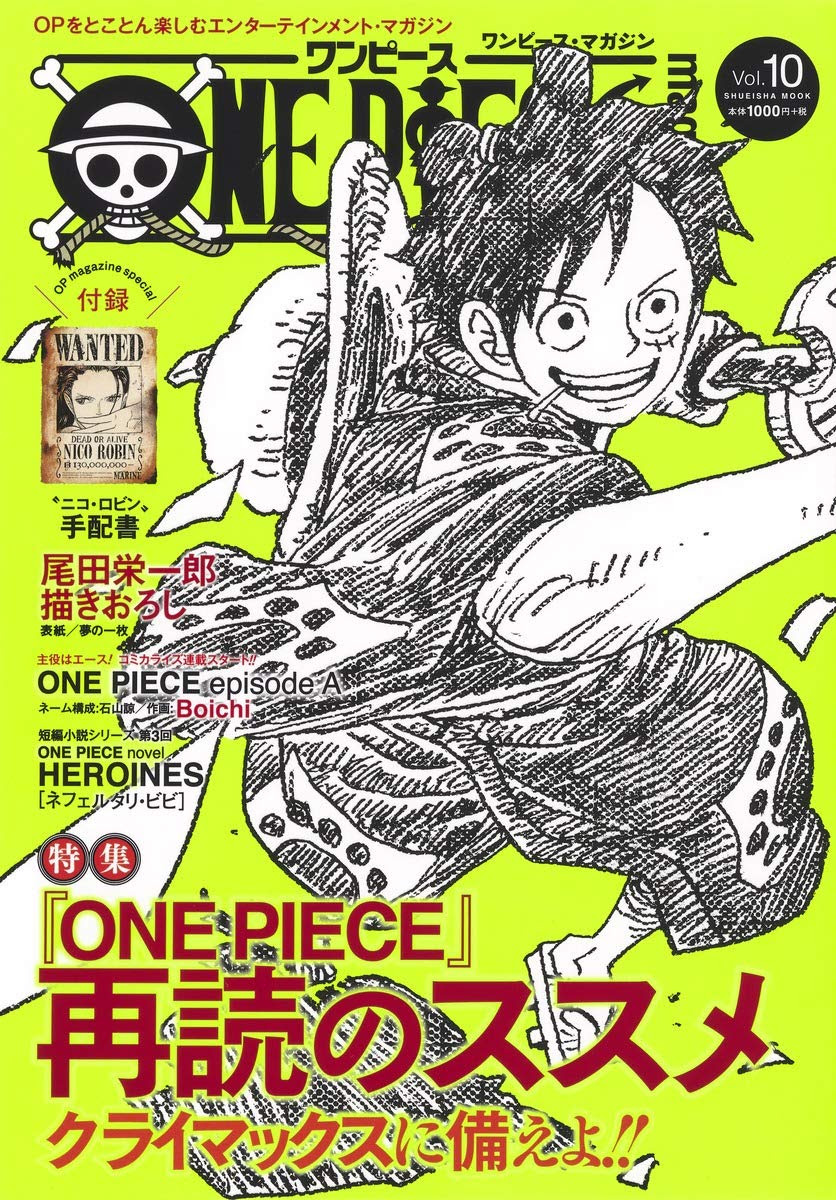 One Piece Magazine Vol 10 Japanese Book Store