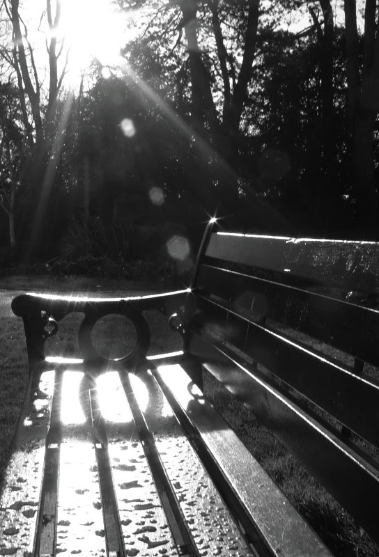 Wet bench in the sun 12/366