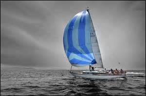 Lo Ferr : le livre daposAnnie Butor est dgueulasse, du verbe dgueuler