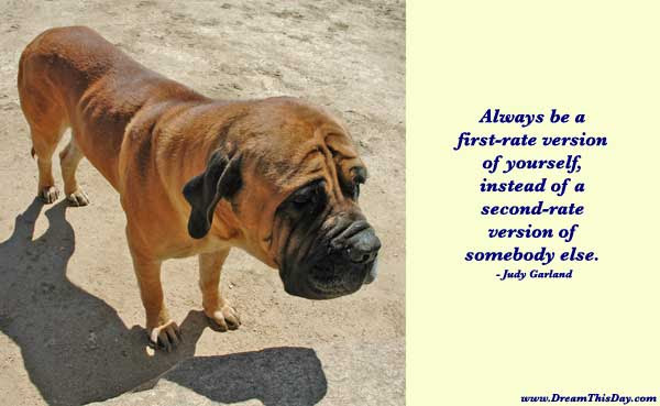 positive quotes for success. Motivational Quotes