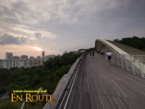 Henderson Waves Jogging