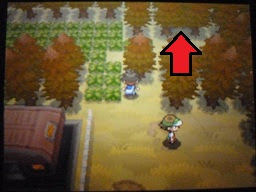 隠し穴隠し穴の場所と出現ポケモン ポケモンbw2攻略ga Mo